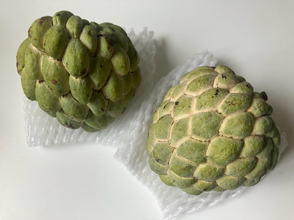緑色の鱗目が並ぶ大目釈迦（Sugar Apple）2個。釈迦頭の食べ方を紹介する台湾フルーツの丸ごとの姿